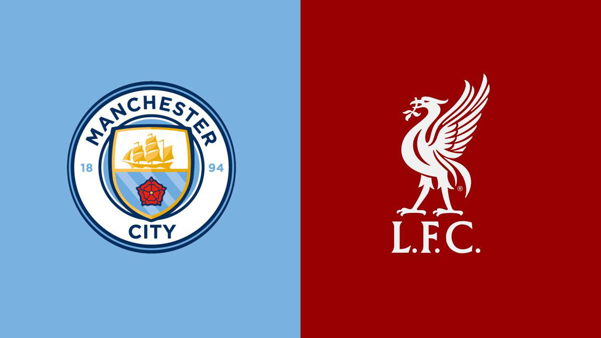 这些都是长 这些都是长